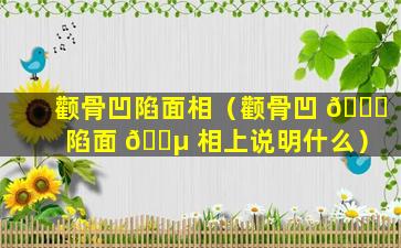 颧骨凹陷面相（颧骨凹 🍁 陷面 🐵 相上说明什么）